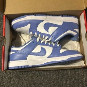 Nike polar blue dunks